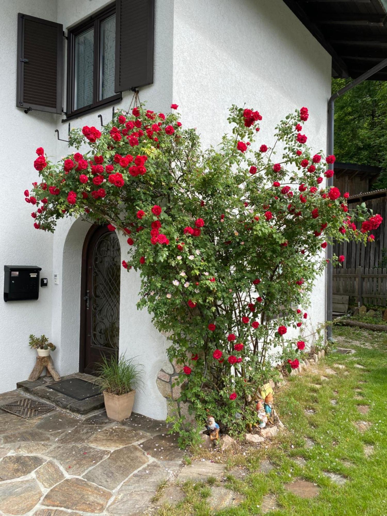 Ferienwohnung Laimer, Radau 37 Sankt Wolfgang im Salzkammergut Экстерьер фото